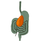 Almendras del Moncayo
